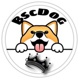 BSCDOG