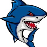 灵魂 soul QQ 钉钉 各种号出货群