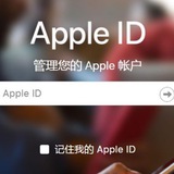 ID apple 苹果