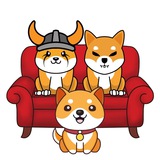 DogeFamily🇨🇳社区