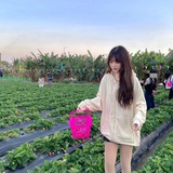 厦门外围 厦门高端修车资源