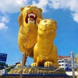 长城国际-西港资源互换交流群