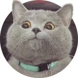 找蓝桉看群置顶(菲盘)