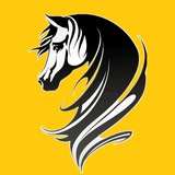 三方支付 短信标签数据 电销 体育彩票 棋牌 博彩资讯
