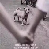 招BC代理TG: yaboMT
