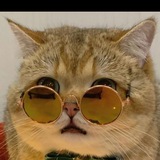 Q拉 手工 代加 百人团