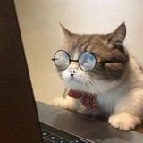日本服务器