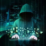 金管家cvv灰产数据四件套交易担保群