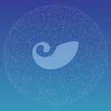 imToken官方中文3群