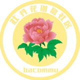 牡丹花财富社区