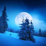 霜雪之夜