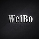 伟博今日头条新闻资讯