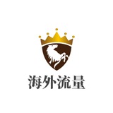 海外流量