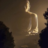 动态管控交流群