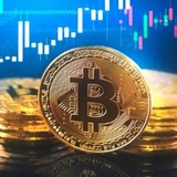 数字货币数据研究总汇