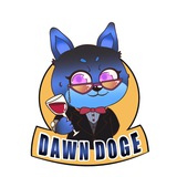 Dawn DOGE中文共识社区(19:00发射)