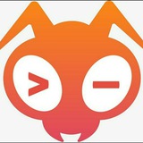 金蚁服务(USDT 代收付 承兑 各种担保)