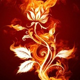夜御🔥茶吧