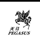 TG天马担保集团担保群