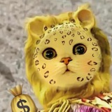 R-金钱豹 钓鱼 cvv 撸货 教学 源码 服务