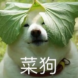 韩国服务器