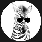 Zoomer Community Official Chat