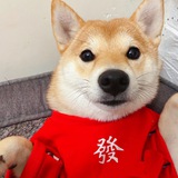 灰产搞钱
