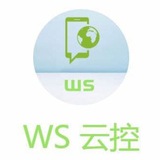 WS技术交流 Chat