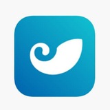 imToken官方中文频道