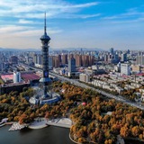 石家庄名媛楼凤交流群