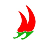 暗网2群【红尖椒🔥】国内外一手微信号 数据号 支付宝 四件套