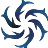 乐鱼体育直招13