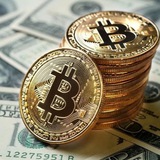 WEALTHBASE INVESTMENT COMPANY (WIC)