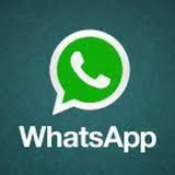 全球短信ws群发,最低价格@daifawhatsapp