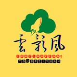 🔰 云影风 🔰