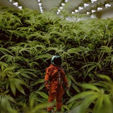 飞行中国 实物频道