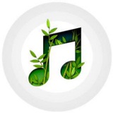 云音乐 用心聆听世界🎶