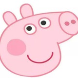 广州修车资源PIG