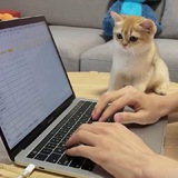 微信多开 微信分身