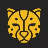 CheetahSpy