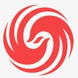 🔰whatsapp协议推送🔰一手机房🔰短信群发🔰《神鸟》🔰