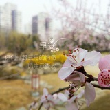 中文圈
