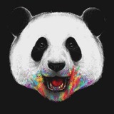 阿久 JP鱼频道(开工大吉