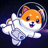 SpaceDoge官方电报群
