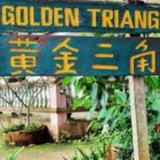 🔥金三角生活交流群🔥