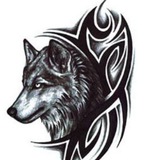 菲柬交友狼人杀
