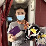 飞机号