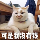 老王DDOS-免费放大列表资源
