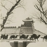 北京大世界