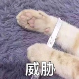 爱探索✈️(白给云分站)